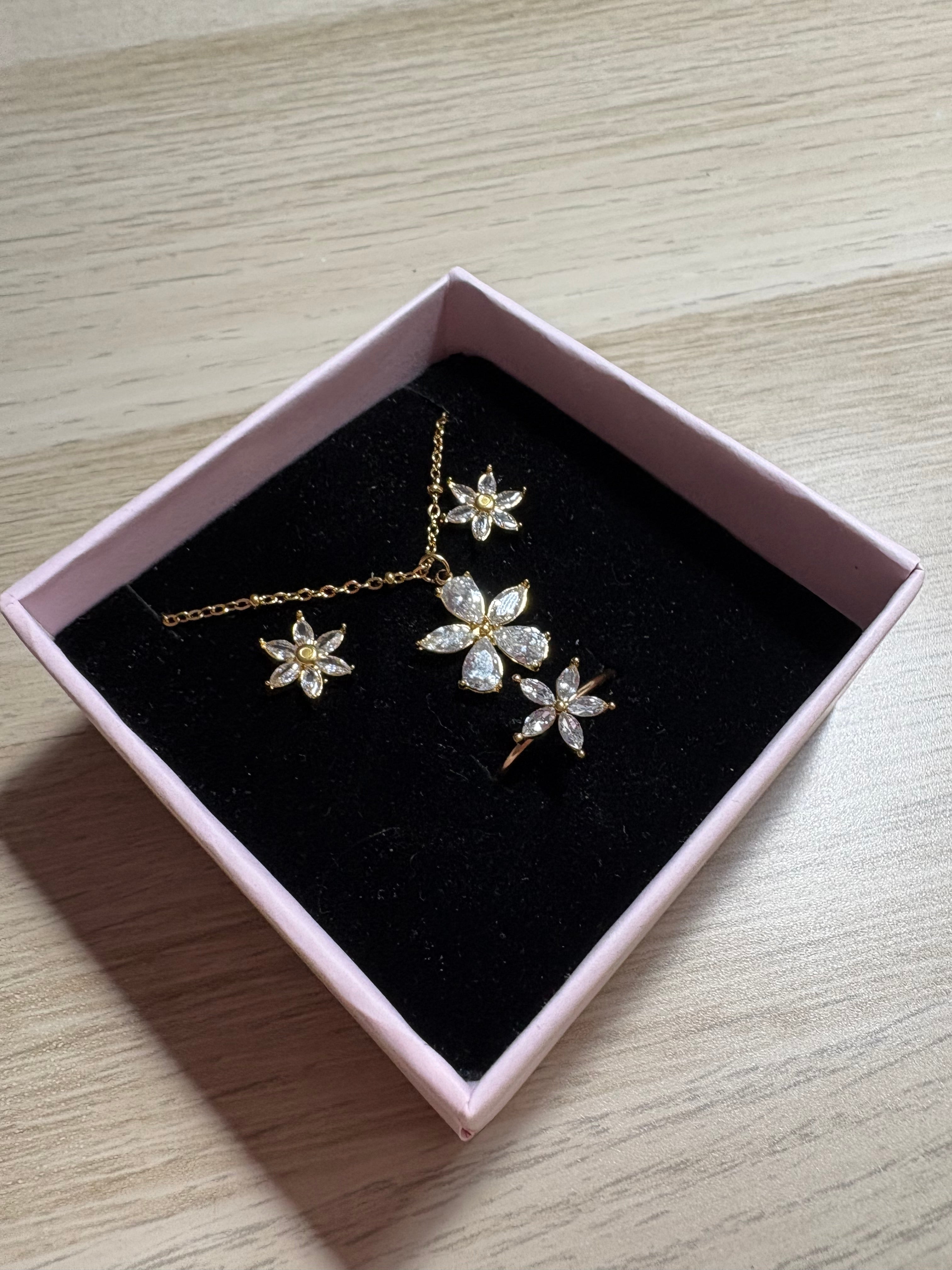 Set Dafne